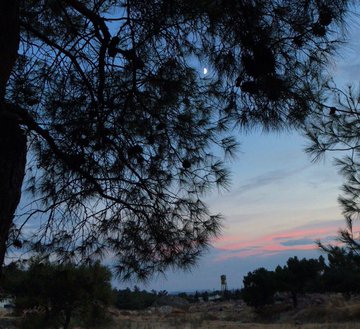 Köyden manzaralar... 🌅