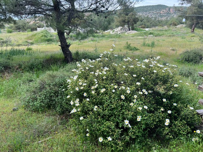 Baharın ardında Yaz bekler.  Sizlere yazın Bilimler Köyü’nde düzenlenecek çok sayıda etkinliği incelemenizi öneririz