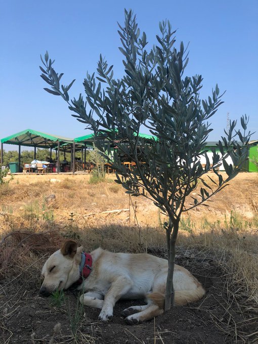 Bilimler Köyü'nde ilk günlerinden beri birlikte büyüyorlar