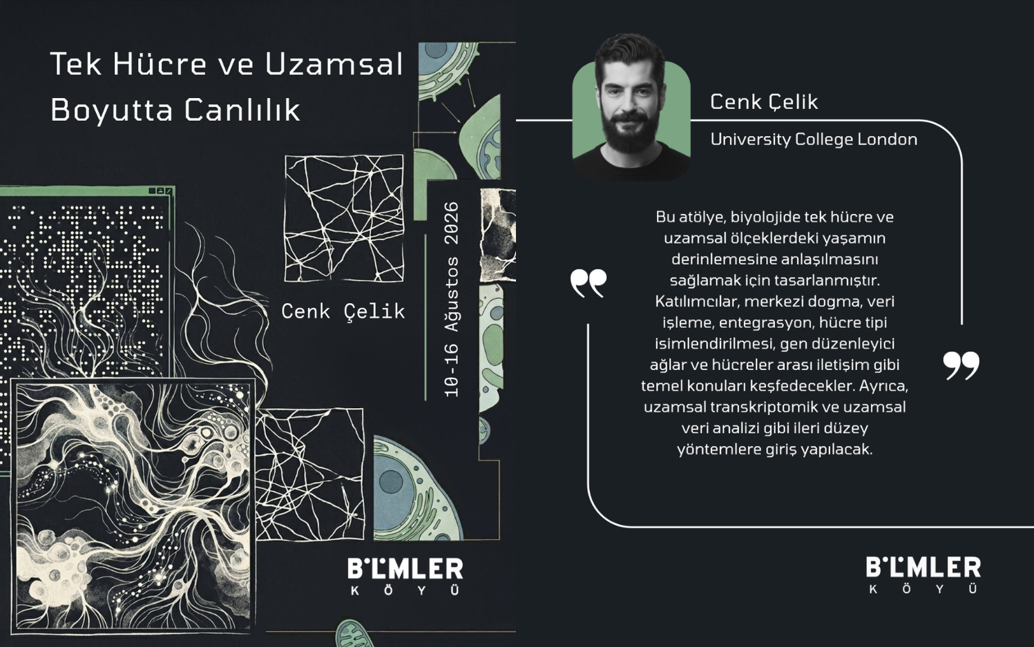 Gelecek Yaz: Tek Hücre ve Uzamsal Boyutta Canlılık